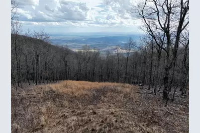 533 Old A T Approach Trail, Jasper, GA 30143 - Photo 2