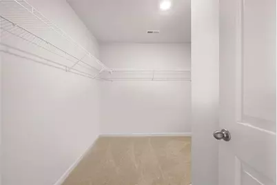 302 Friendship Oak Way, Hampton, GA 30228 - Photo 26