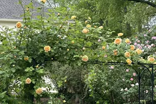 6084 Fairlong Point NW, Acworth, GA 30101 - Photo 38