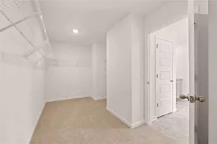 294 Friendship Oak Wy, Hampton, GA 30228 - Photo 12