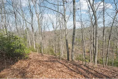 29 Red Trillium Ridge, Big Canoe, GA 30143 - Photo 58