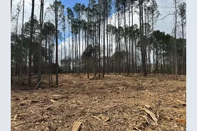 0 Pope Road, Buchanan, GA 30113 - Photo 8