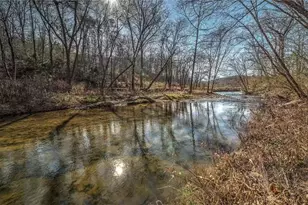 141 Mountain Rivers Rd, Mineral Bluff, GA 30559 - Photo 6