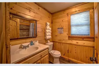 141 Mountain Rivers Rd, Mineral Bluff, GA 30559 - Photo 24