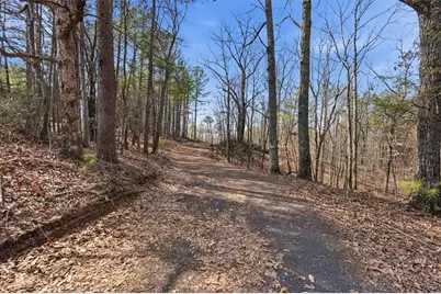 2234 Little Refuge Road, Waleska, GA 30183 - Photo 12