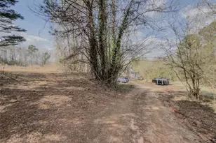 98 Viper Ln, Braselton, GA 30517 - Photo 2