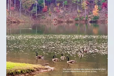 325 Adair Drive, Ranger, GA 30734 - Photo 16