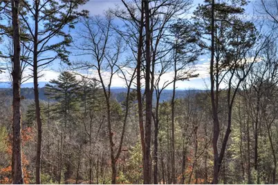 142 Red Oak Trail, Ellijay, GA 30540 - Photo 46