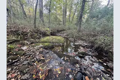 00 Lee Mashburn Road, Dahlonega, GA 30533 - Photo 2