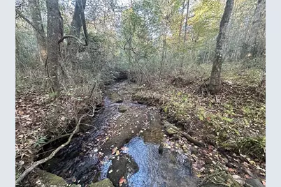 00 Lee Mashburn Road, Dahlonega, GA 30533 - Photo 4