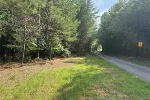 00 Lee Mashburn Rd, Dahlonega, GA 30533 - Photo 1