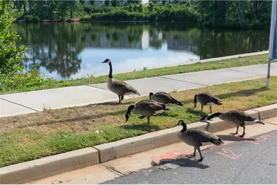 321 Brighton Bend Lane, Acworth, GA 30102 - Photo 42