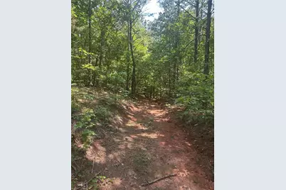 40 Patriot View Drive, Dahlonega, GA 30533 - Photo 14