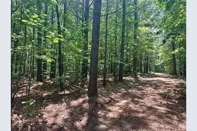 40 Patriot View Drive, Dahlonega, GA 30533 - Photo 16