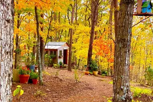 270 Mosswood Lane West, Jasper, GA 30143 - Photo 74