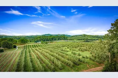 1241 Scenic Drive, Blue Ridge, GA 30513 - Photo 26