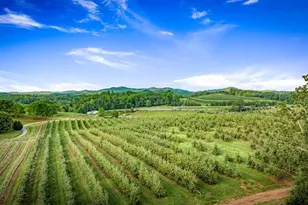 1241 Scenic Dr, Blue Ridge, GA 30513 - Photo 26