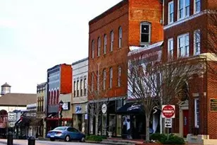 3342 Wild Clary Ct Lot 66, Buford, GA 30519 - Photo 38