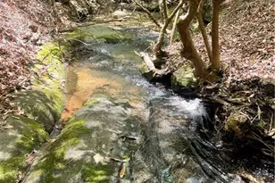 1063 Grindle Bridge Rd, Dahlonega, GA 30533 - Photo 28