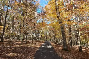 1063 Grindle Bridge Rd, Dahlonega, GA 30533 - Photo 38