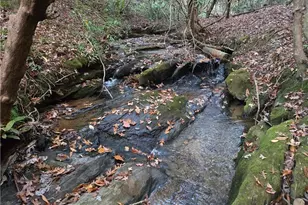 1063 Grindle Bridge Rd, Dahlonega, GA 30533 - Photo 36