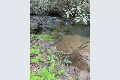 1063 Grindle Bridge Road, Dahlonega, GA 30533 - Photo 26