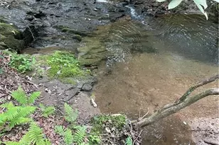 1063 Grindle Bridge Rd, Dahlonega, GA 30533 - Photo 26