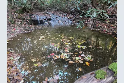 1063 Grindle Bridge Road, Dahlonega, GA 30533 - Photo 32