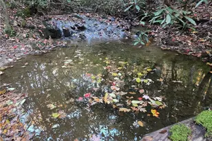 1063 Grindle Bridge Rd, Dahlonega, GA 30533 - Photo 32