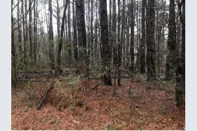 2115 Logan Drive, Jonesboro, GA 30236 - Photo 6