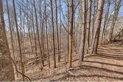 150 Hidden Lake Circle, Canton, GA 30114 - Photo 38