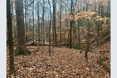 431 Tamarack Drive, Jasper, GA 30143 - Photo 8