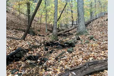 431 Tamarack Drive, Jasper, GA 30143 - Photo 12