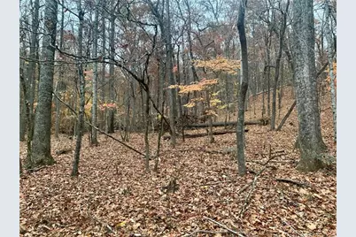 431 Tamarack Drive, Jasper, GA 30143 - Photo 6