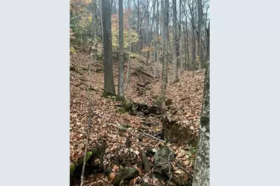 431 Tamarack Drive, Jasper, GA 30143 - Photo 10