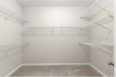 305 Hollybush Court, Ball Ground, GA 30107 - Photo 30