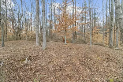 164 Aspen Hall Drive, Canton, GA 30115 - Photo 60