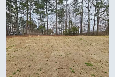 48 Silverleaf Trail, Bethlehem, GA 30620 - Photo 36