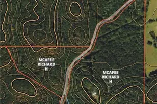 292 Shirley Rd SE, Ranger, GA 30734 - Photo 12