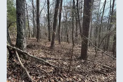 292 Shirley Road SE, Ranger, GA 30734 - Photo 22