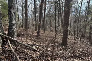 292 Shirley Rd SE, Ranger, GA 30734 - Photo 22