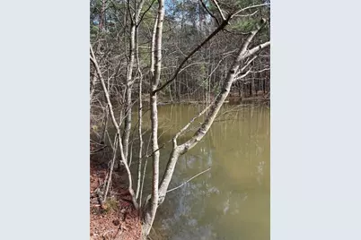 292 Shirley Road SE, Ranger, GA 30734 - Photo 64