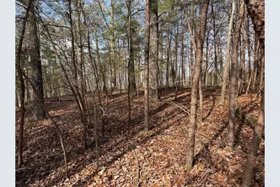 292 Shirley Road SE, Ranger, GA 30734 - Photo 70