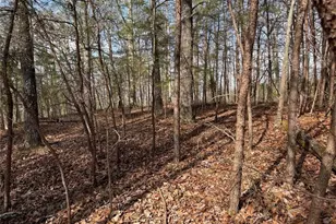 292 Shirley Rd SE, Ranger, GA 30734 - Photo 70