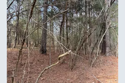 292 Shirley Road SE, Ranger, GA 30734 - Photo 14