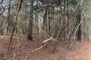 292 Shirley Rd SE, Ranger, GA 30734 - Photo 14