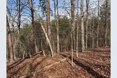 292 Shirley Road SE, Ranger, GA 30734 - Photo 78