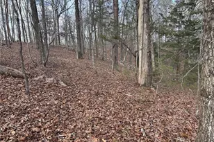 292 Shirley Rd SE, Ranger, GA 30734 - Photo 68