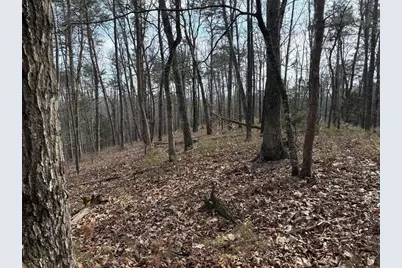 292 Shirley Road SE, Ranger, GA 30734 - Photo 18