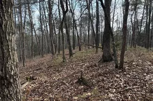 292 Shirley Rd SE, Ranger, GA 30734 - Photo 18